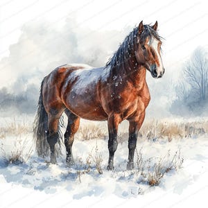 22 Pferd mit Apfel Clipart | Pferde Illustration Design | Druckbare Aquarell Clipart | Hochwertige JPGs | Papiermodell | Junk Journal