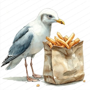 20 Möwe Stehlen Pommes Clipart | Spaß schrulligen Meer Illustration | Druckbare Aquarell Clipart | Hochwertige JPGs | Papierhandwerk