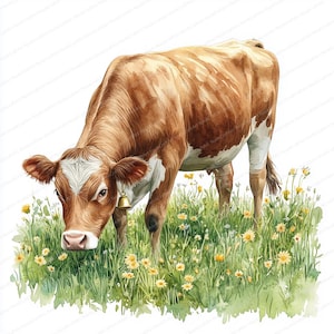 16 Clipart di mucca con campana nel prato / Disegno di arte di animali pastorali / Clipart di acquerelli stampabili / JPG di alta qualità / Carta artigianale / Diario