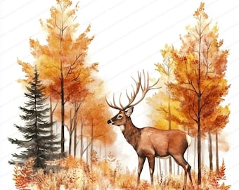 Op de afbeelding: Een aquarel van een hert dat in een bos staat met herfstbladeren. Het hert is bruin met grote geweien en kijkt naar links. De bomen zijn een mix van geel, oranje en rood.