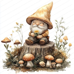 19 boskabouters zomer clipart | Grillige bosillustratieset | Afdrukbare aquarel clipart | Hoge kwaliteit JPG's | Papierkunst