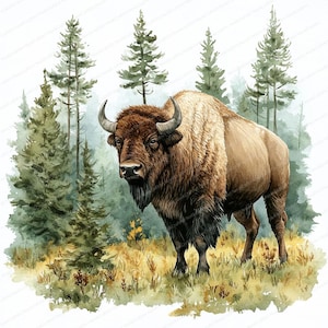 18 bizons-afbeeldingen op groene weide | Bos Dieren in het wild Digitale kunst | Afdrukbare aquarel clipart | Hoge kwaliteit JPG's | Papierkunst | dagboek