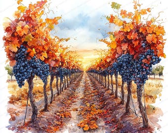 May include: Watercolor painting of a vineyard in autumn. Rows of grape vines with clusters of dark blue grapes are laden with orange and red leaves. The sun sets in the distance, casting a warm glow over the scene.