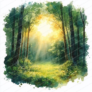 Puede incluir: Pintura a la acuarela de una escena de bosque iluminada por el sol. Altos y esbeltos árboles enmarcan un claro brillante con hierba y flores silvestres. Los rayos del sol se filtran a través de las hojas, creando un ambiente cálido.