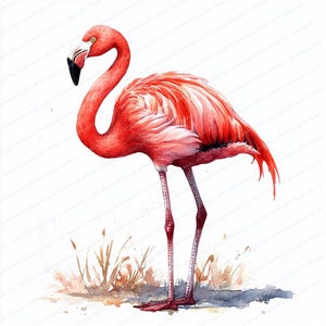 15 Clipart flamant rose unijambiste | Motif gracieux d'oiseau tropical | Clipart aquarelle imprimable | JPG de haute qualité | Créations artisanales en papier | revue
