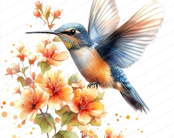 19 ハチドリの花のクリップアート | 自然にインスパイアされたデジタル