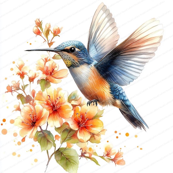 19 ハチドリの花のクリップアート | 自然にインスパイアされたデジタル