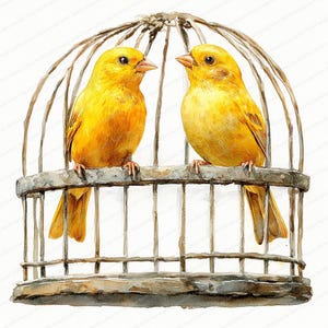 17 Kanarienvögel in Käfig Clipart | Wunderliche gelbe gefiederte Illustrationen | Druckbare Aquarell Clipart | Hochwertige JPGs | Papierhandwerk