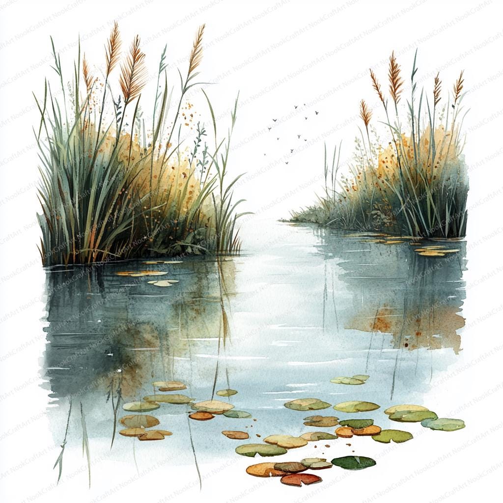 Watercolour Reeds 24 Swamp Lake Reeds Clipart | Serene Wetland Illustration | Printable ...