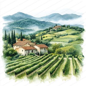 18 Clipart de paisagem de vinhedo | Colinas e videiras pitorescas | Clipart de aquarela para impressão | JPGs de alta qualidade | Artesanato em papel | diário