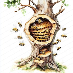 14 Bees Clipart | Honeycomb Clipart | Printable Watercolor clipart | High Quality JPGs | Digital download | Paper craft | junk journal