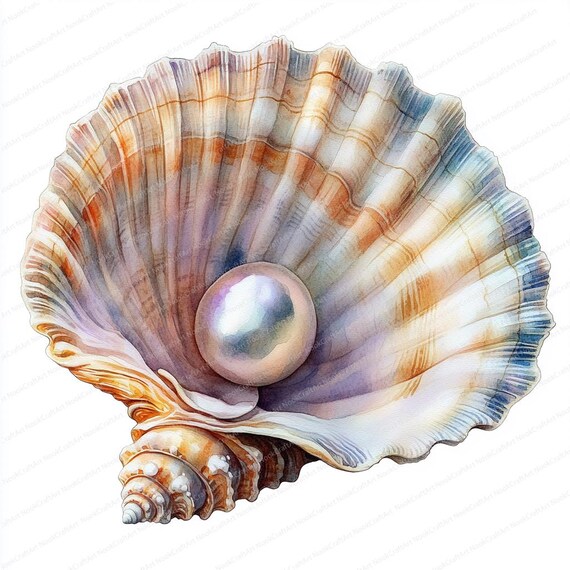 20 輝く真珠のクリップアート | 開いた貝殻のイラスト | 印刷