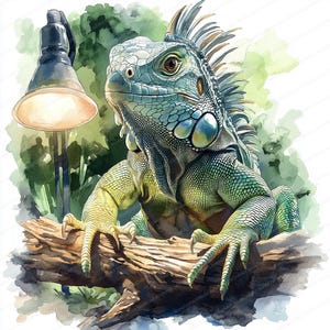 Op de afbeelding: Waterverfillustratie van een groene en blauwe leguaan die op een bruine boomstam zit. De leguaan heeft gedetailleerde schubben en een stekelige rugkam. Links staat een zwarte lamp met een brandende gloeilamp, met een groen-witte achtergrond.