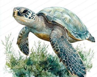Op de afbeelding: Een aquarel van een groene zeeschildpad die door een bed van groene zeewier zwemt. De schildpad heeft een groene schild met bruine markeringen en een lichtbruin hoofd. Het zeewier is een levendig groen en heeft een aquareleffect.