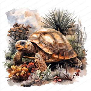 May include: A watercolor painting of a tortoise walking through a desert landscape. The tortoise is brown with a yellow underbelly and is surrounded by brown and green plants.