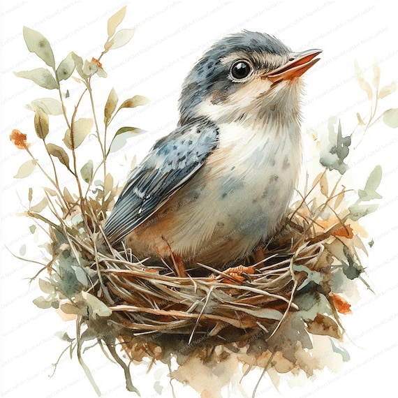 18 赤ちゃん鳥の巣のクリップアート | くちばしを開けて餌をやる