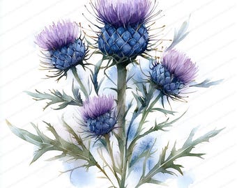 16 distelbloem clipart | Paars bloemdessin | Afdrukbare aquarel clipart | Hoge kwaliteit JPG's | Digitale download | Papiermodellen