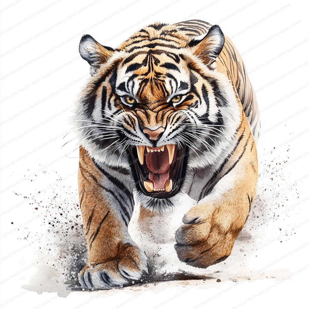 18 水彩画の虎のクリップアート | 印刷可能な虎のイラスト | 高品質