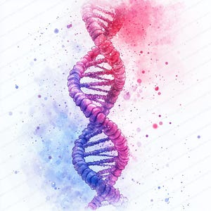 17 Clipart a spirale del DNA / Elementi di design genetico / Clipart acquerello stampabile / JPG di alta qualità / Lavoretti di carta / Diario di scarto