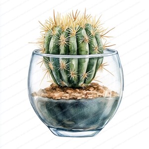 18 cactus en un vaso, diseño artístico suculento único, clipart de acuarela imprimible, archivos JPG de alta calidad, manualidades de papel, diario basura