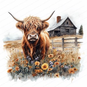 May include: A brown Highland cow with long, shaggy hair stands in a field of wildflowers. The cow is looking directly at the camera. There is a wooden barn in the background.