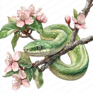 Puede incluir: Ilustración en acuarela de una serpiente verde enroscada alrededor de una rama de árbol con flores rosas y hojas verdes. La serpiente tiene una apariencia detallada y texturizada. Las flores son delicadas, creando un tema natural.