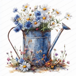 Puede incluir: Ilustración en acuarela de una regadera azul llena de margaritas y acianos. La regadera tiene un asa y un pico oxidados. Varias flores silvestres rodean la base, creando una escena de jardín.