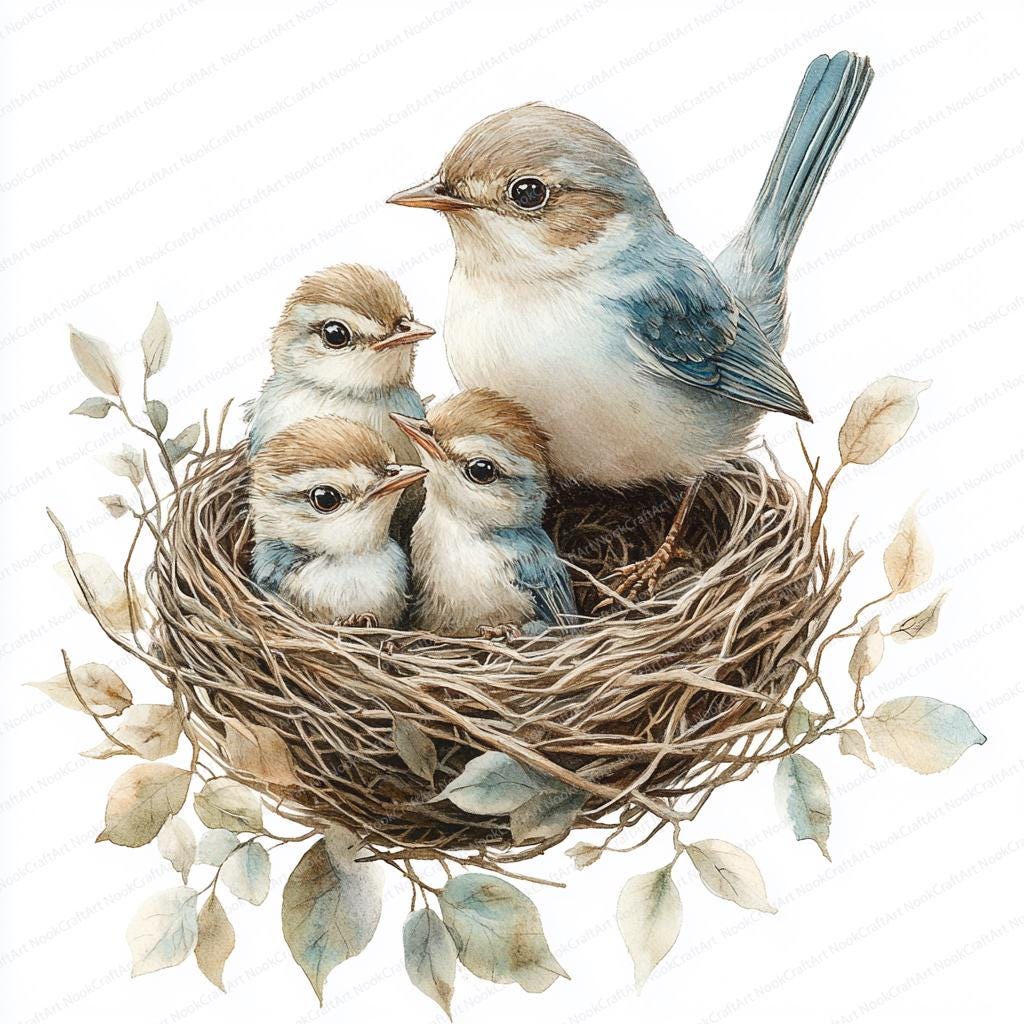 18 羽の鳥が雛に餌をやるクリップアート | 野生動物の家族のイラスト