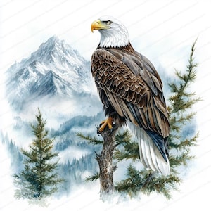 16 Clipart Eagle Flying Mountain | Imagem de águia americana | Clipart de aquarela para impressão | JPGs de alta qualidade | Papel artesanal | Diário de lixo