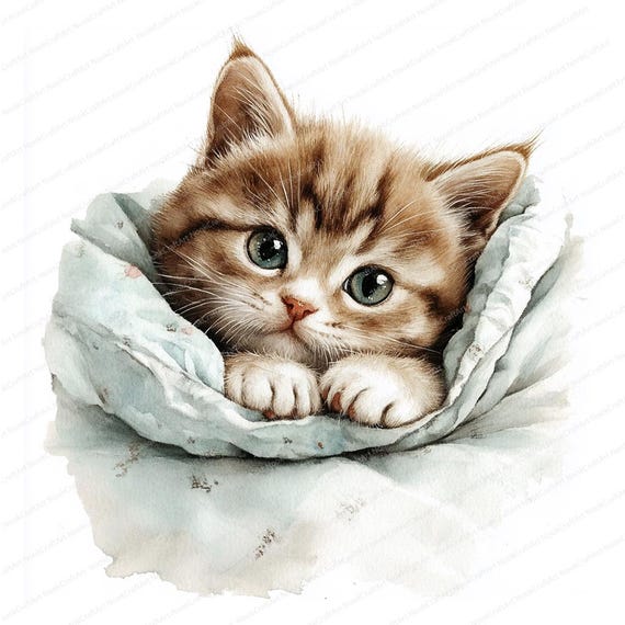 ベッドにいる猫のクリップアート 18 枚 | 眠っている子猫のイラスト