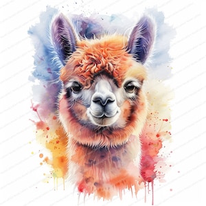 12 Llama Alpaca Clipart | Llama Watercolor | Alpaca Clipart | Printable Watercolor clipart | High Quality JPGs | Digital download