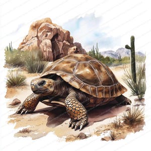 May include: A brown tortoise with a textured shell walks on a sandy desert landscape. The tortoise is in the foreground of the image, with a rocky outcropping and a cactus in the background.