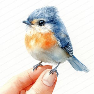 19 Clipart Doigt Mésange Bleue | Conception d'illustration de petit oiseau | Clipart aquarelle imprimable | JPG de haute qualité | Créations artisanales en papier | Journal indésirable