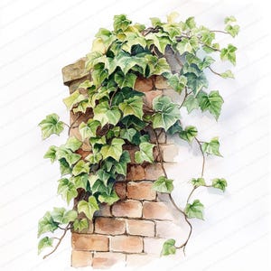 18 Watercolor Brick Wall with Vines Clipart | Vine Leaves Art | Printable Clipart | High Quality JPGs | Digital Download | Junk Journals