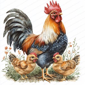 18 Clipart famille poulet coq et poussin | Animaux de la ferme mignons | JPG de haute qualité | Téléchargement numérique | Créations artisanales en papier | Journal indésirable