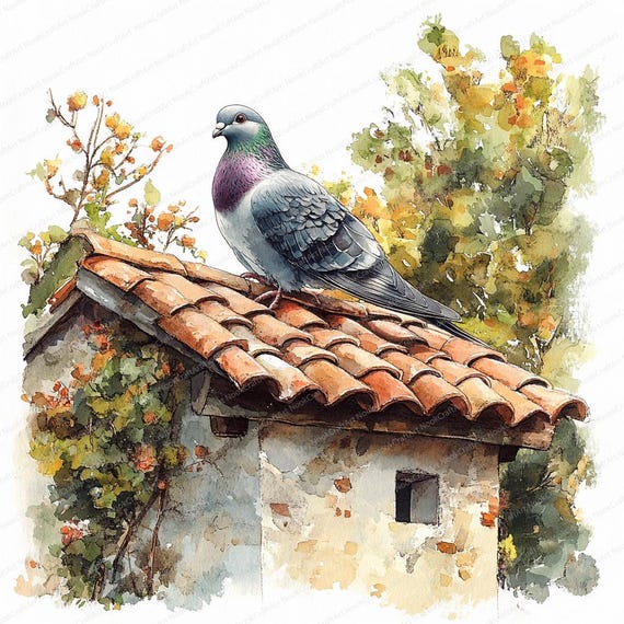 20 素朴な家の屋根の鳩のクリップアート | 田舎の鳥のイラスト