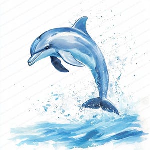 14 cliparts dauphin | Ensemble de cliparts pour la récréation des dauphins | Clipart aquarelle imprimable | JPG de haute qualité | Téléchargement numérique | Créations en papier