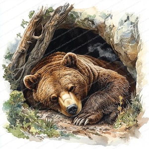 14 Clipart della grotta dell'orso addormentato / Illustrazione di fauna selvatica accogliente / Clipart acquerello stampabile / JPG di alta qualità / Lavoretto di carta / Diario di spazzatura