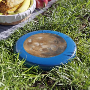 Frisbee Wham-O - Fotografía del planeta Marte imagen 7