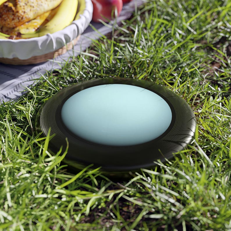 Wham-O Frisbee - Planet Uranus photograph image 4