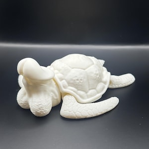 Dicky Turtle Articulating