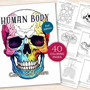 May include: A coloring book cover featuring a colorful skull with the text "HUMAN BODY 2nd Edition" and "Color and Learn". The cover also includes a red circle with the text "40 COLORING PAGES".