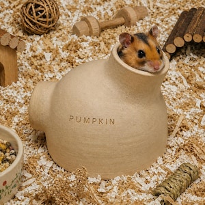 Könnte beinhalten: Ein beigefarbenes Hamsterversteck aus Keramik in Form eines abgerundeten Gefäßes mit dem eingeprägten Wort PUMPKIN an der Seite. Ein kleiner braun-beiger Hamster schaut aus der oberen Öffnung der Struktur, die von Holzspänen umgeben ist.