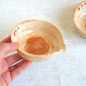 Ceramic garlic grater with herb stripper and spout speckled terracotta orange stoneware plate for garlic ginger and salad dressing prep