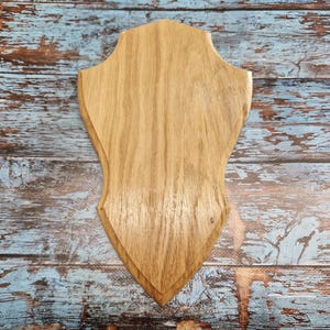 Placa de montaje de trofeo de taxidermia, placa base de escudo de madera, colgador de pared para fotos o diferentes accesorios, roble #18