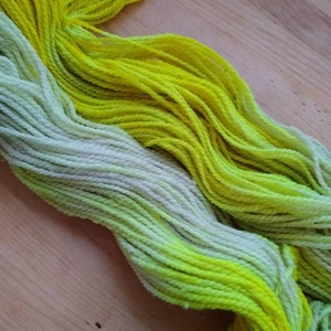 Limited edition hand dyed yarn DK weight approx 275 yds image 1