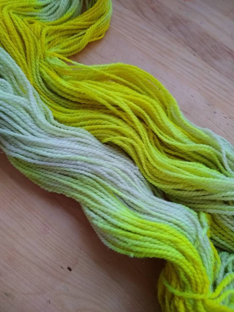 Limited edition hand dyed yarn DK weight approx 275 yds image 1