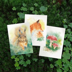 Postkartenset mit Fuchs, Eichhörnchen und Fliegenpilz - Naturmotive - Aquarelloptik  - Geschenkidee für Waldliebhaber