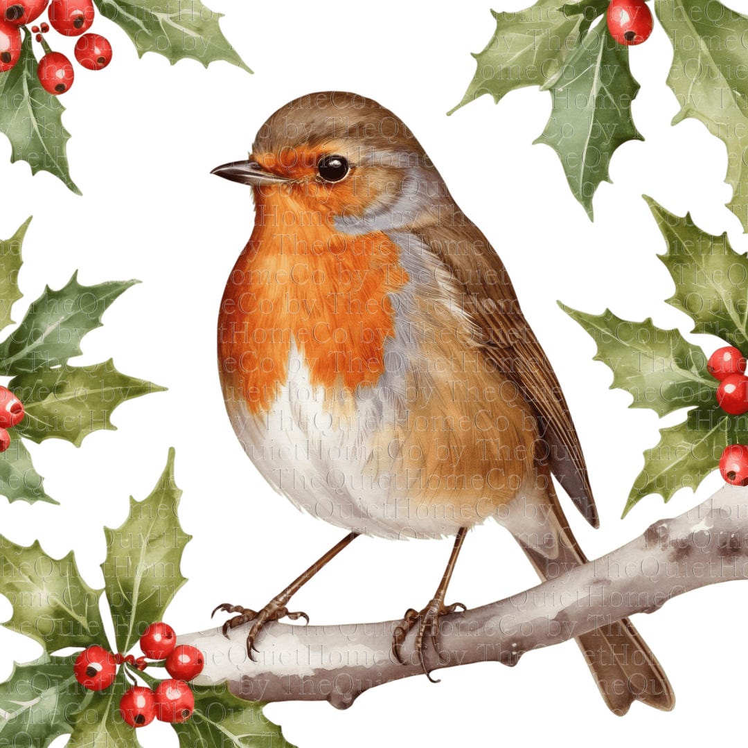 18 Watercolor Christmas Robin Clipart | Winter Bird PNG Set (digital ...