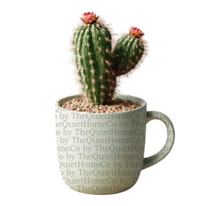 Conjunto de 19 imágenes prediseñadas de cactus en acuarela en tazas / Lindas plantas suculentas en tazas para decoración infantil, sublimación, pegatinas y álbumes de recortes / Conjunto n.° 197